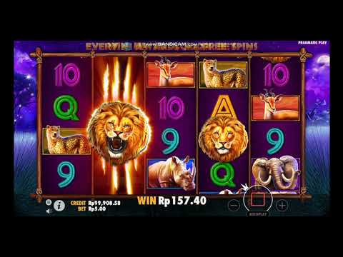 safari slot demo